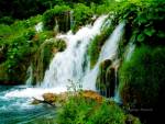 Hike to the waterfalls.  Hiking and backpacking trips.  Recreation
