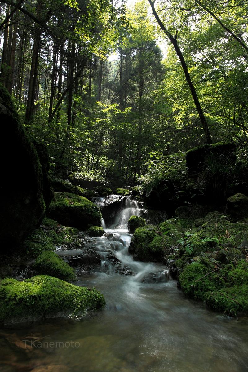 Waterfall at Mt. Takao, Tokyo, Japan