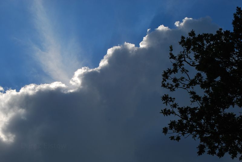 Clouds in a London Park