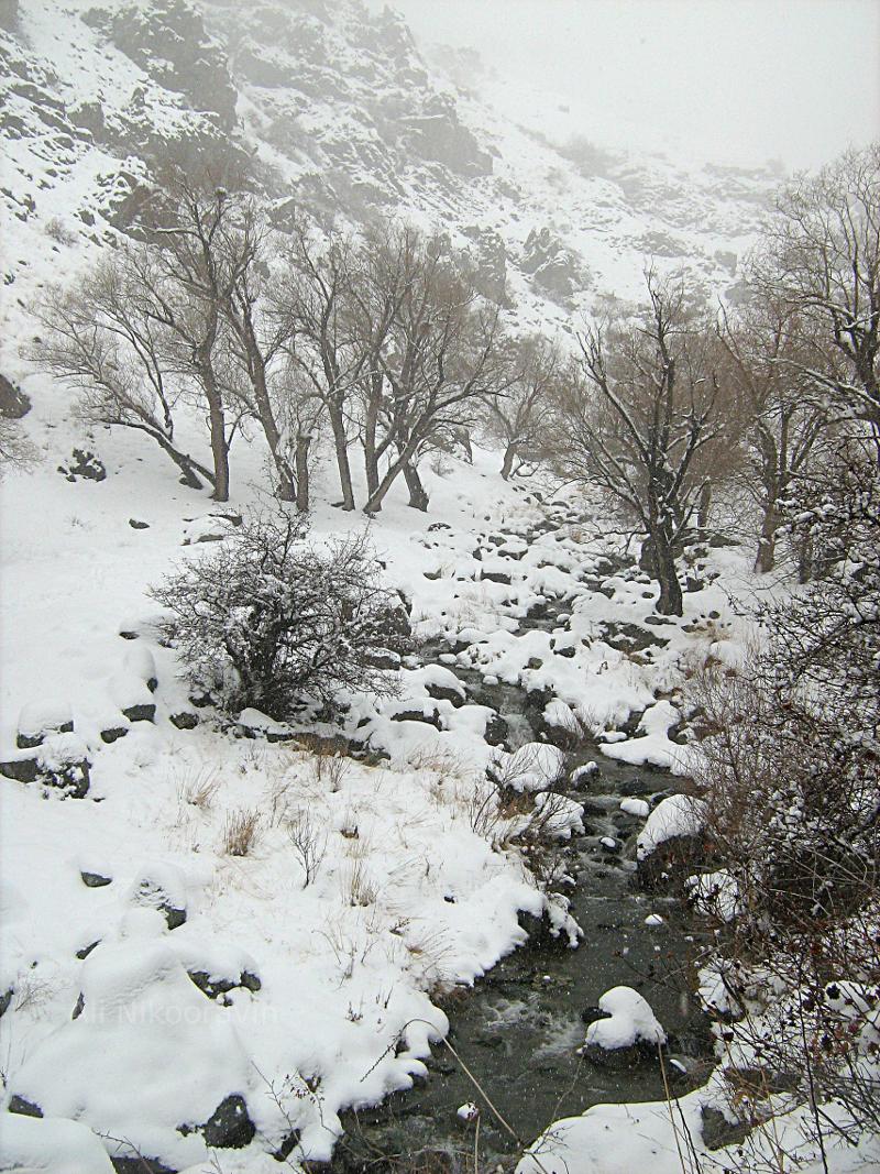 Winter mountain hike in the Alborz Mountains near Tehran