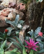 Exotic birds and flowers at the Reptile Gardens