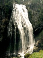 Waterfall in Mount Rainier National Park