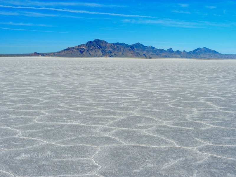 things to do at the bonneville salt flats
