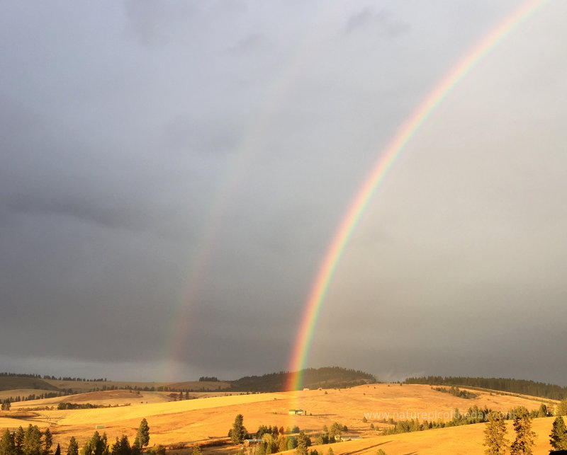 Rainbow in Idaho