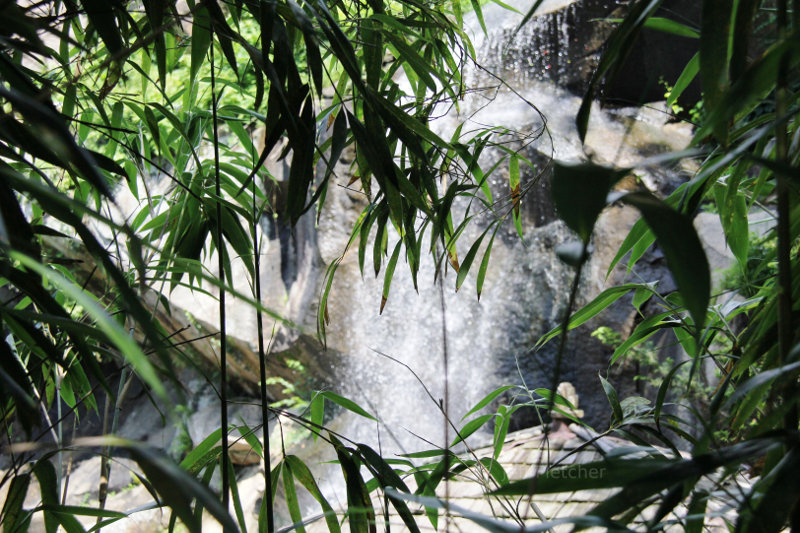 Nature Pic Of The Day 20170628 Bamboo Garden Waterfall