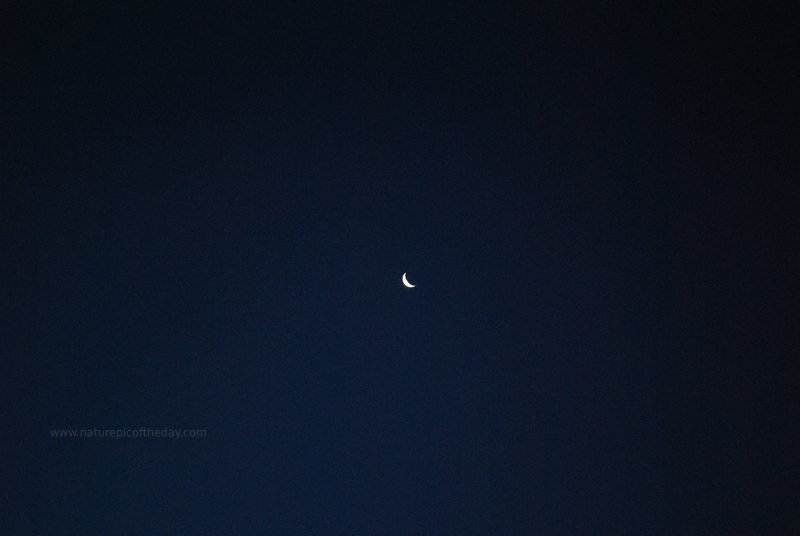 Crescent Moon at night.