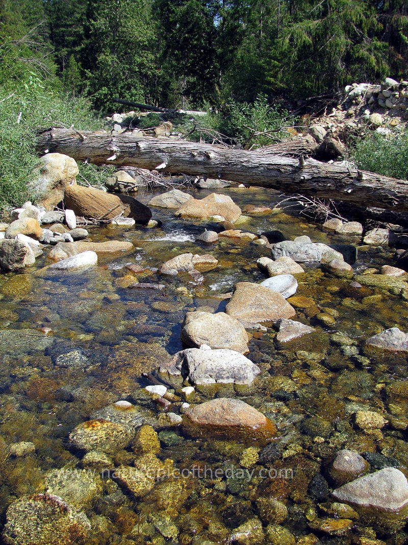 Creek in Northern California