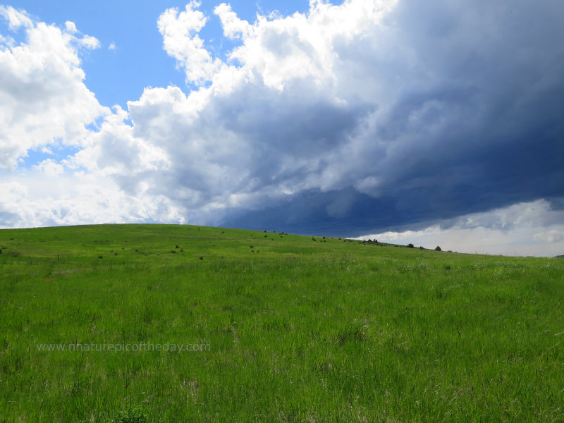 Spring Thunderstorm on the Palouse