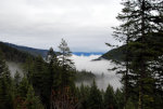 Fog in the Rockies