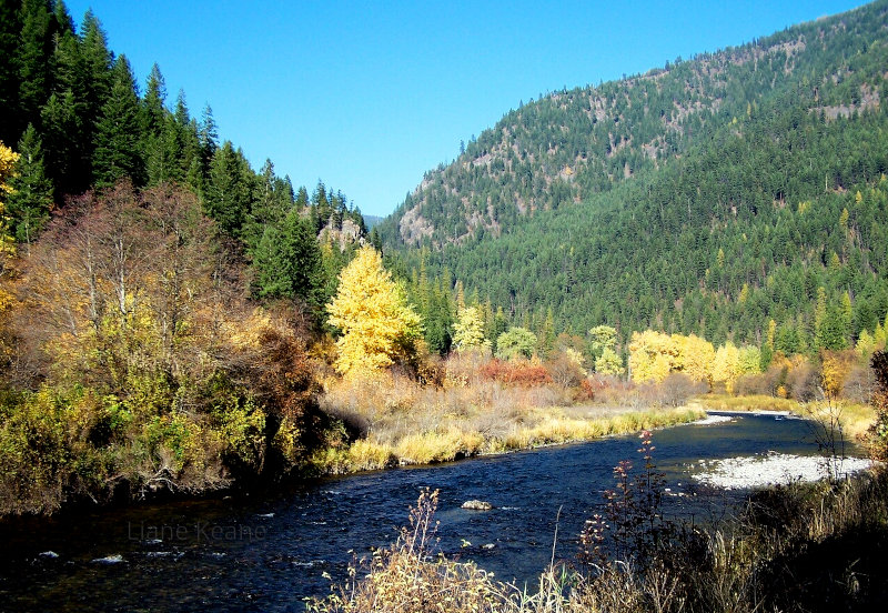 Autumn in Montana