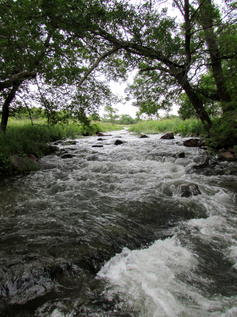 Pipestone Creek