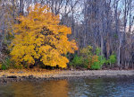 Autumn Colors