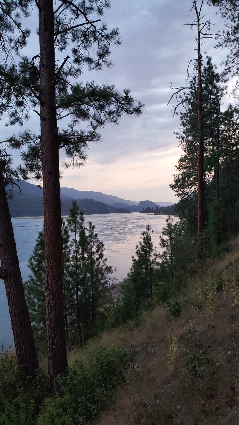 Columbia River near Northport, WA