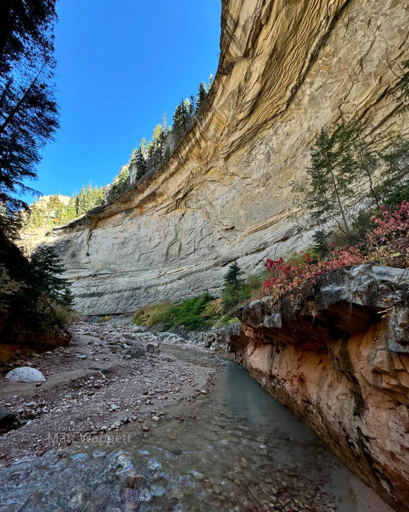 Small (for now) creek in Utah