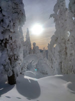 Fresh powder on the slopes of Mt Baker