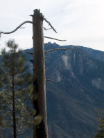 Sierra Nevada mountains