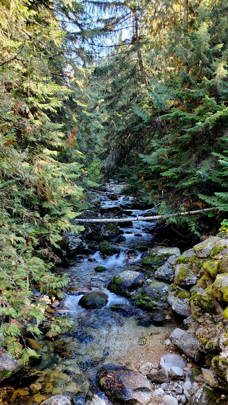 Creek in the Mountains