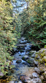 Creek in the Mountains