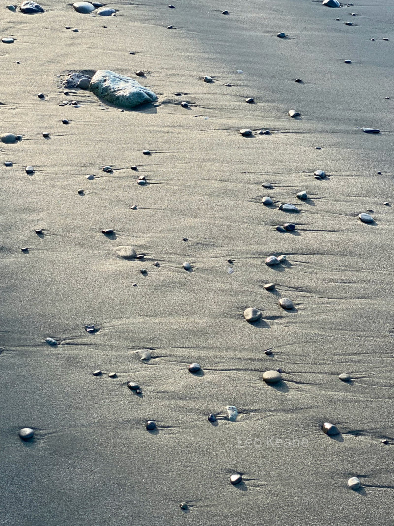 Beach on the Olympic Peninsula in Washington State