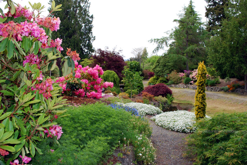 Brinnon Gardens in Washington State