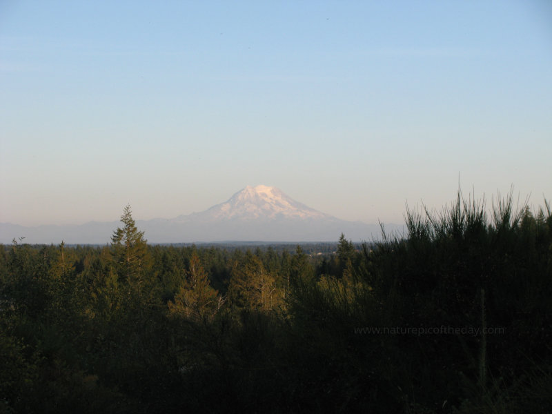 Mount Rainier 