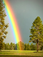 Rainbow in Montana