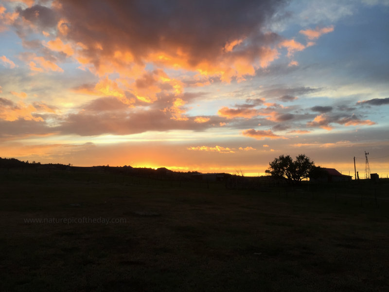 Montana Prairie