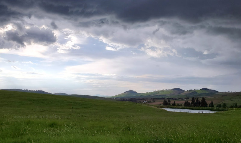 Storm on the Prairie