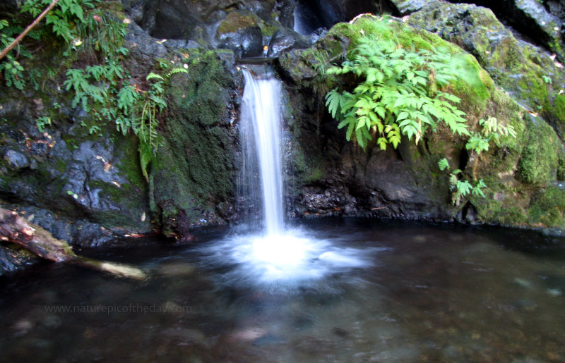 Waterfall in Washington