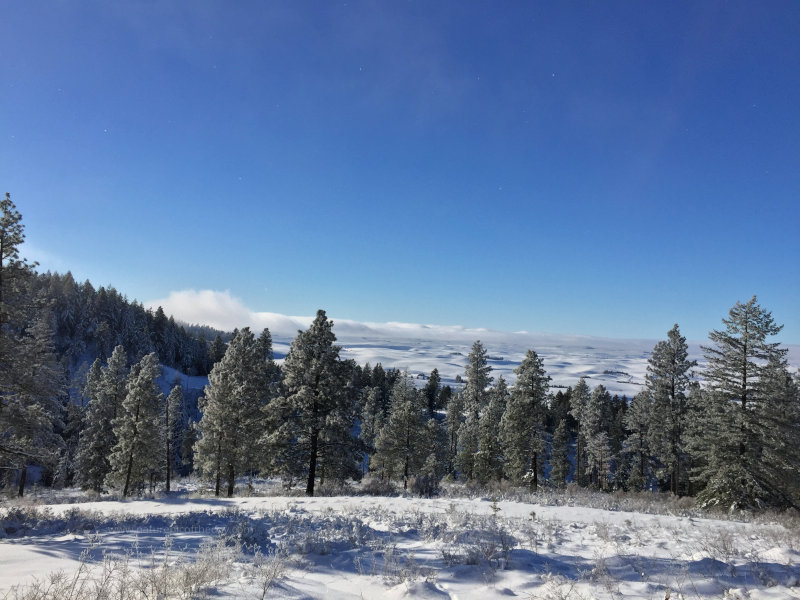 Snow on the Palouse