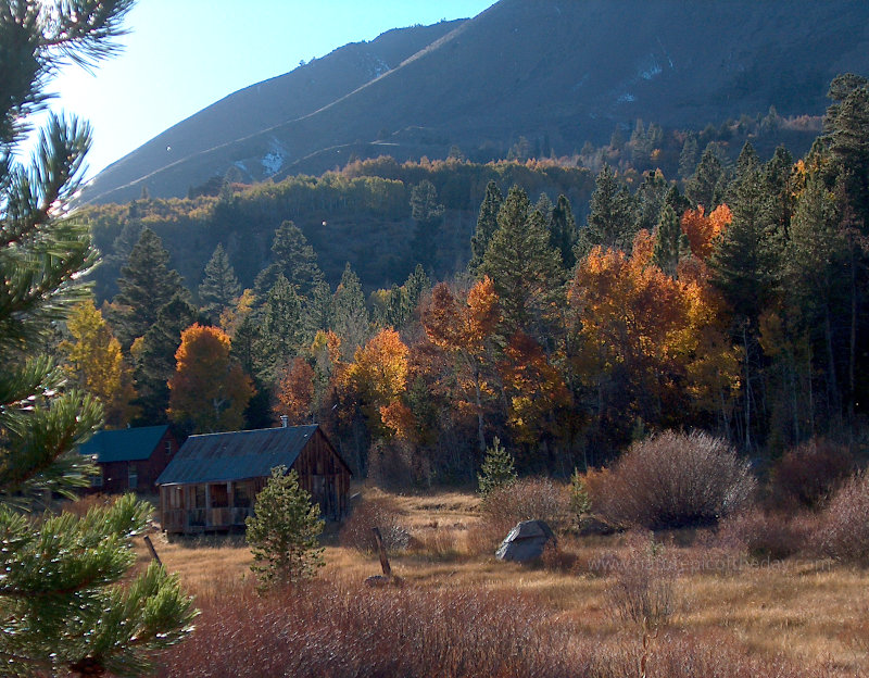 Autumn in the Sierra Nevadas