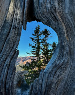 Utah Backcountry