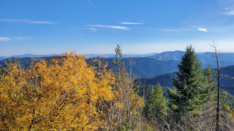 Fall foliage in Idaho