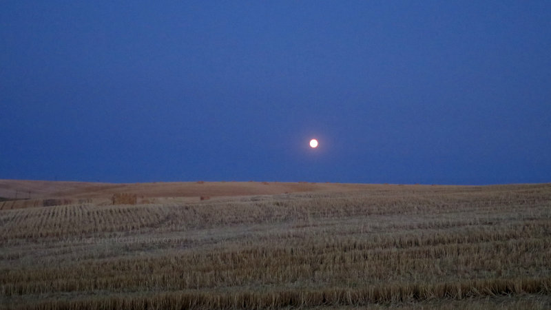 Full Moon Over Hay