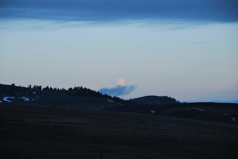 Full moon at dawn.