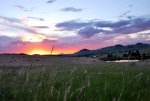 Spring on the Palouse