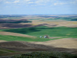 Spring on The Palouse