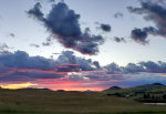 Canola Fields and sunsets