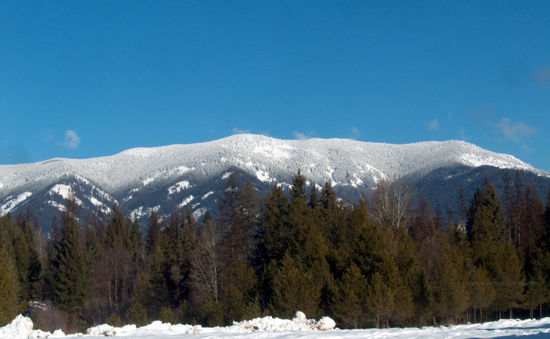 Snow line in Montana