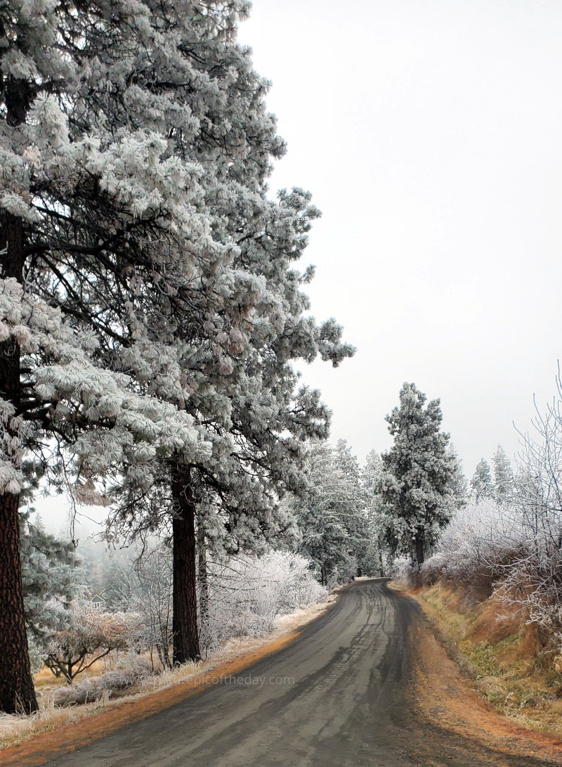 Country Road in Winter