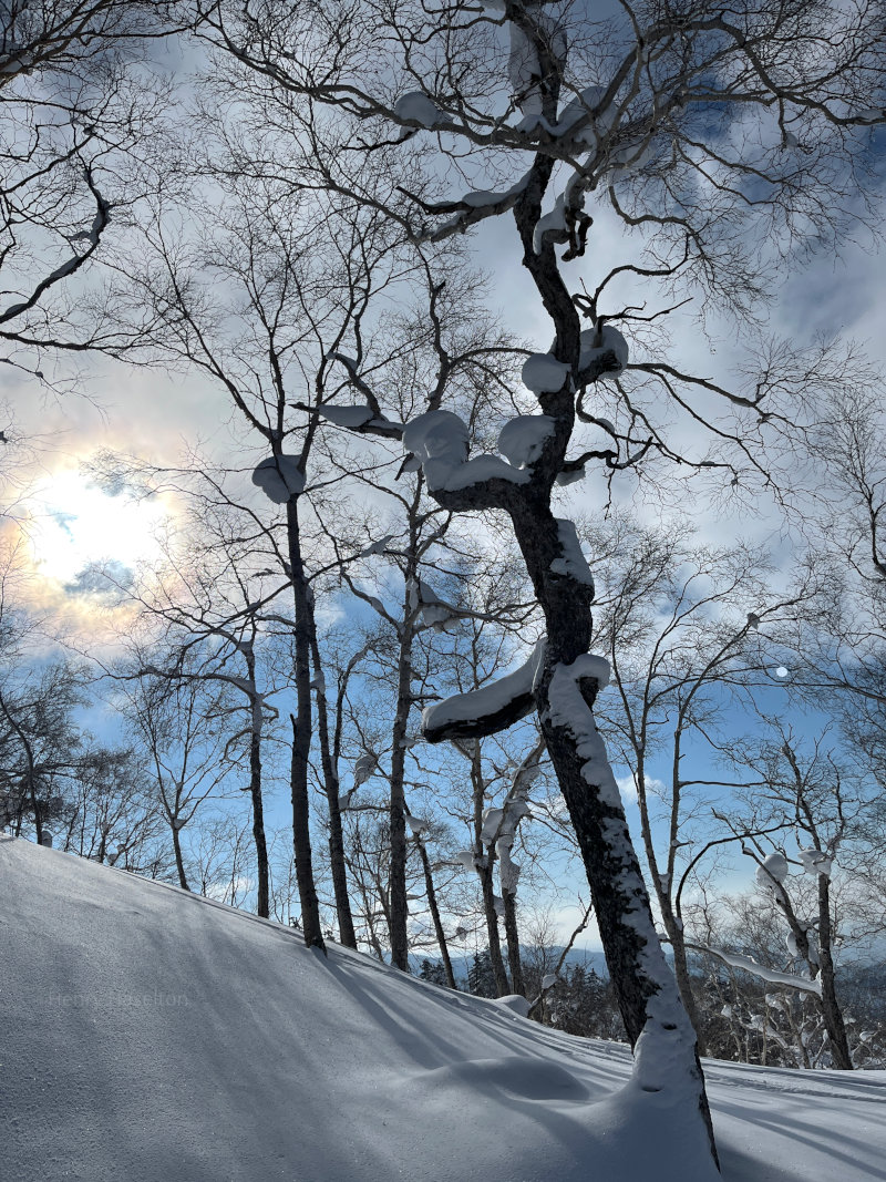 Skiing in Hokkaido, Japan