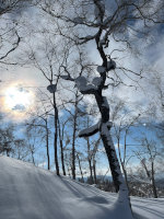 Skiing in Hokkaido, Japan