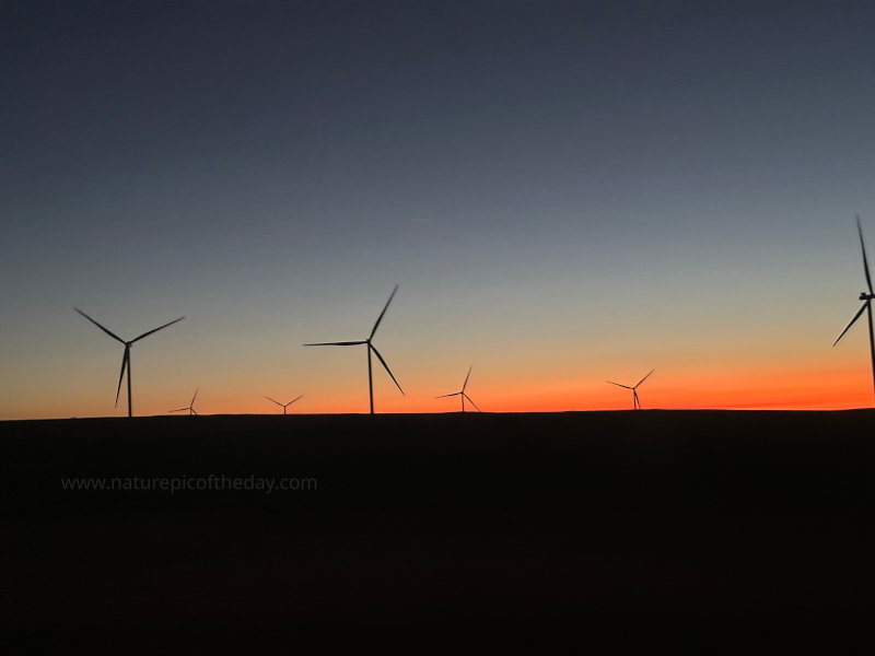 Windmills at Sunset