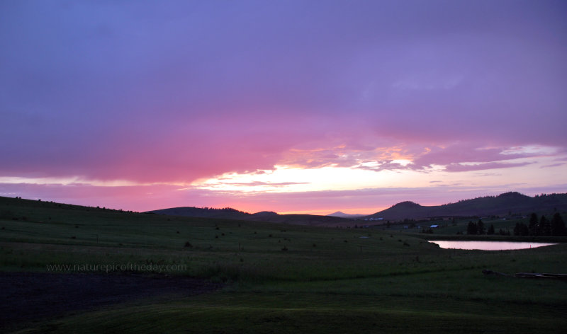 Pretty Pink Sunset