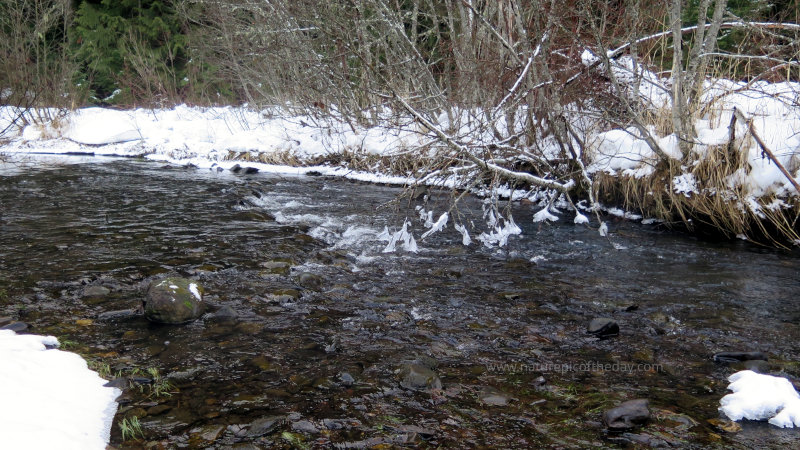 Palouse River Headwaters