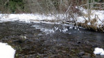 Palouse River Headwaters