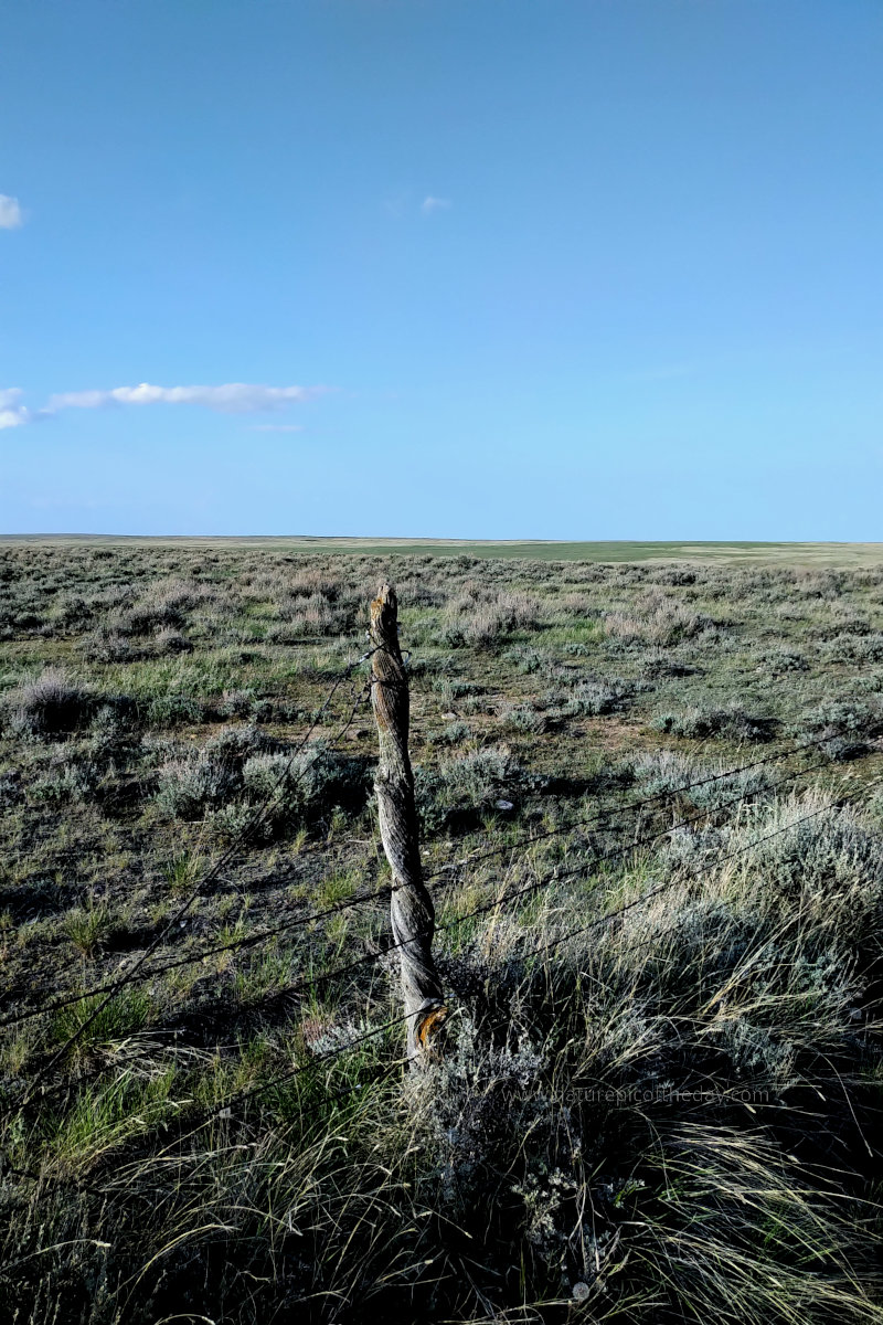 Montana Prairie