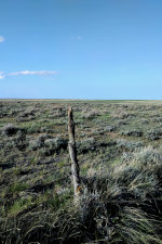 Montana Prairie