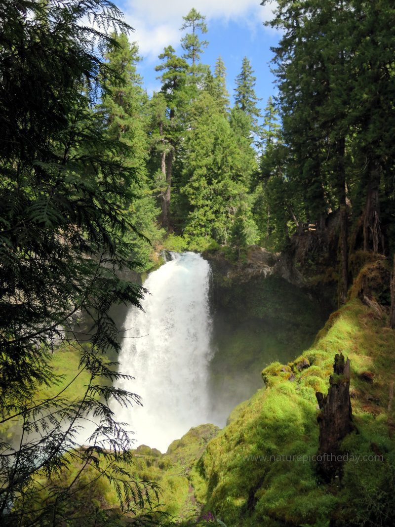 Waterfall in Oregon