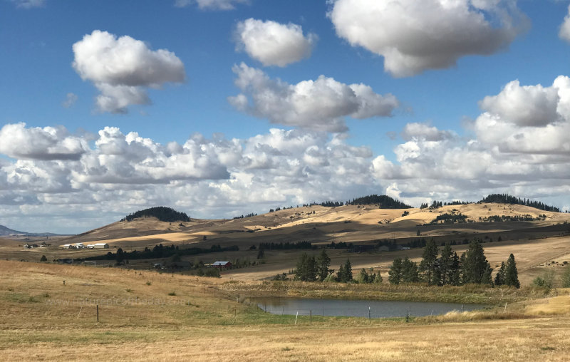 Clouds floating over the Palouse.